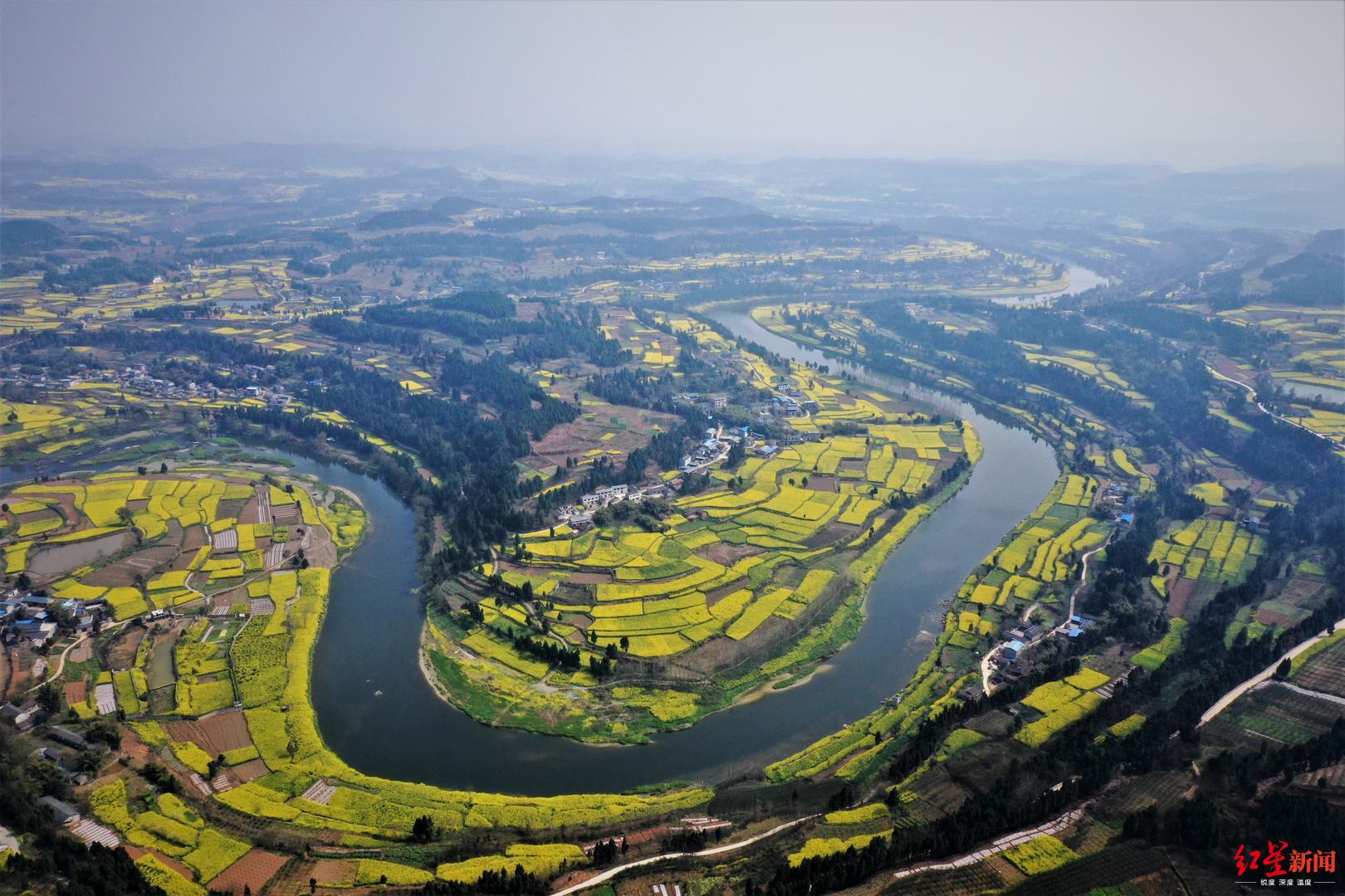 油菜花开美了一湾春水