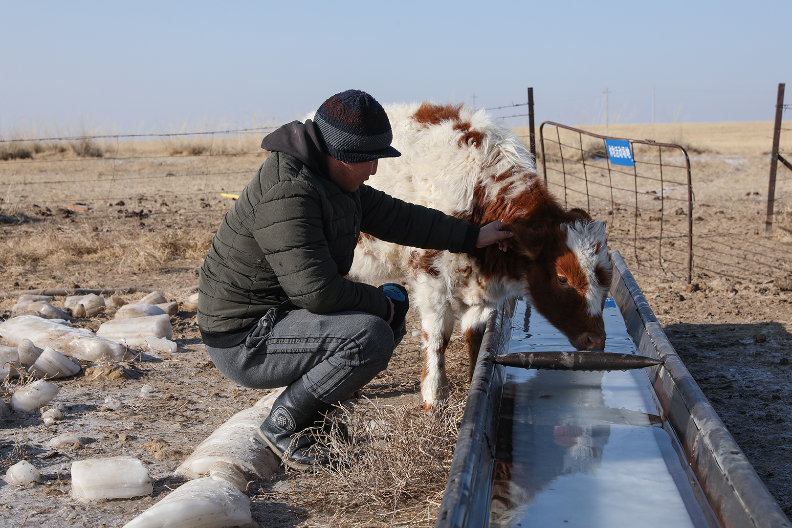 漠北兄弟返乡创业放弃城市生活回草原深处守护牧区