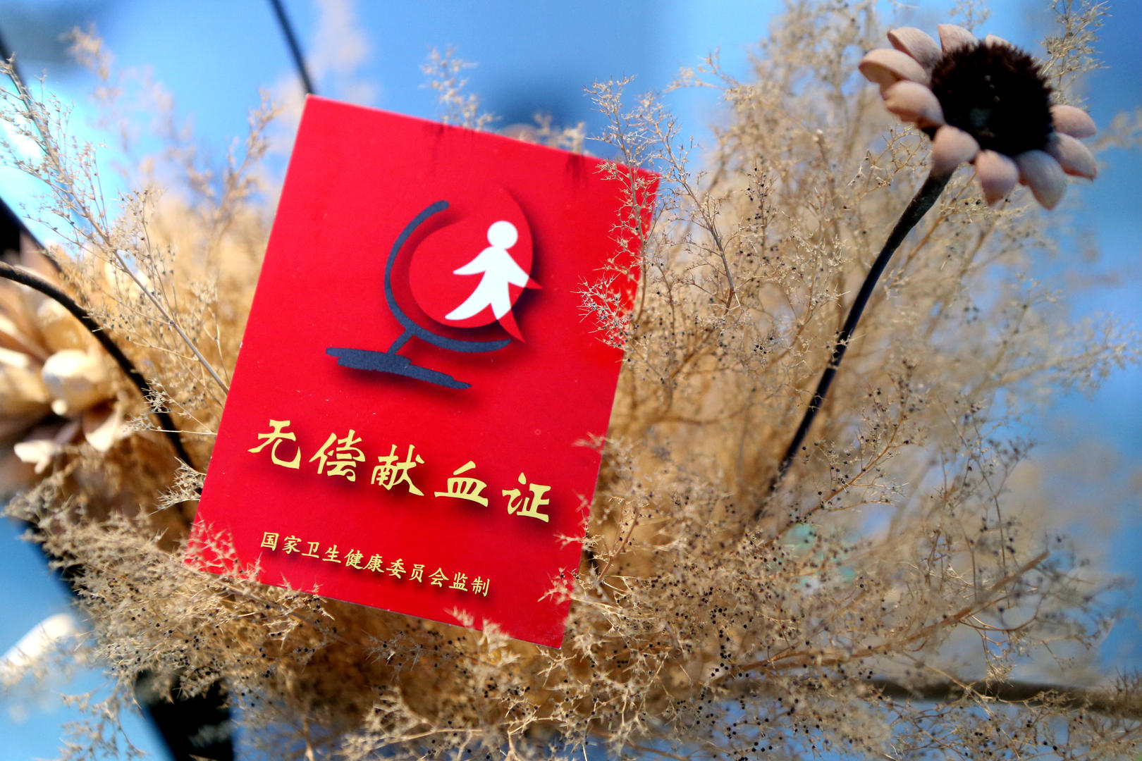 比亚迪涨逾1% 主动买盘66%