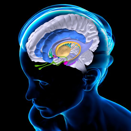 关于幸福的科学