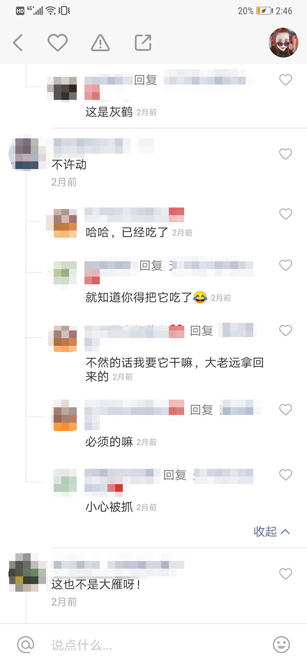 视频发布者称已吃掉灰鹤 快手平台截图