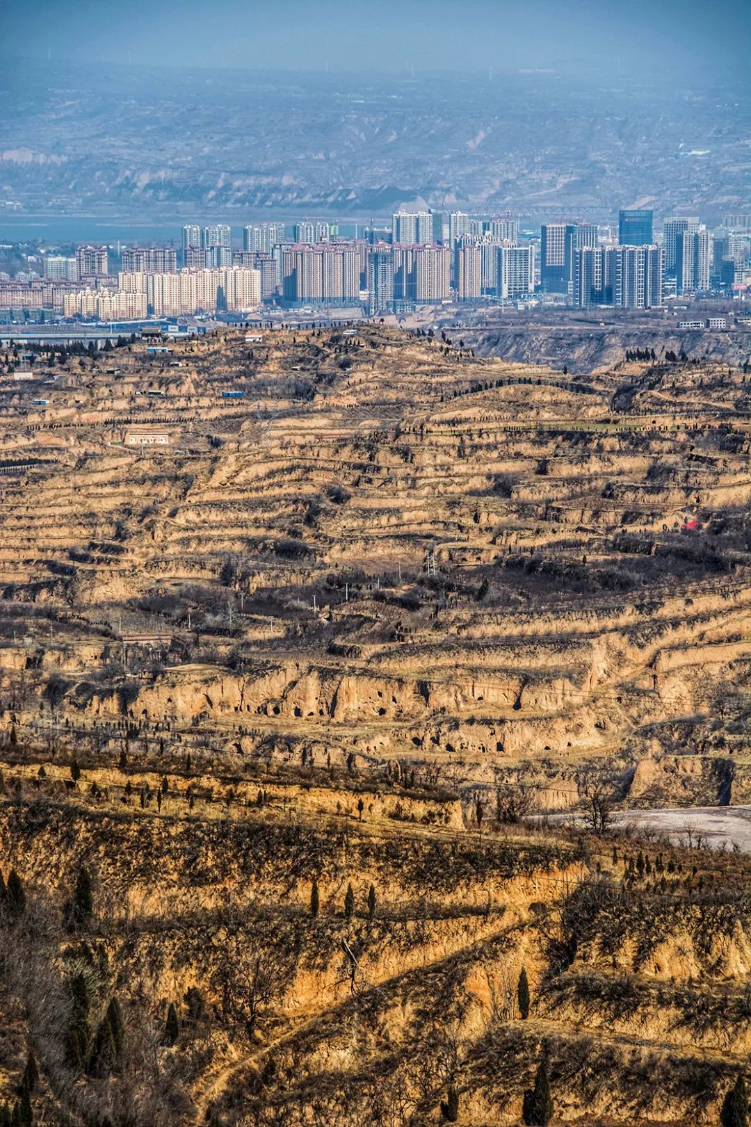 悦读| 黄土高原为什么这么苦难?为什么这么伟大?