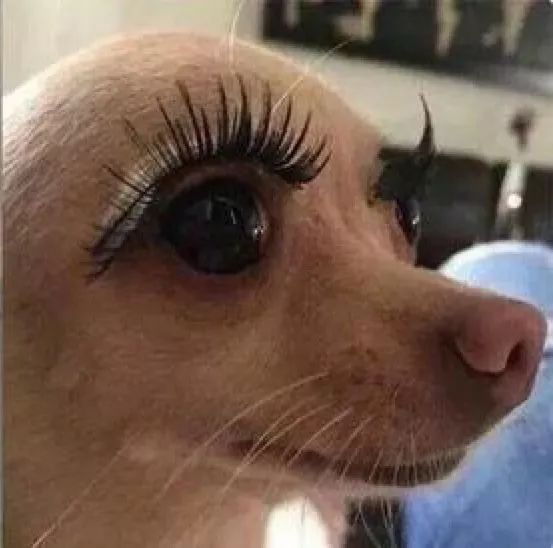 希望未来男友看完还会爱我女生卸妆的样子哈哈