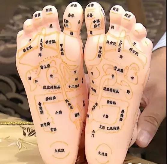 按摩脚底能护眼消胀气这些脚底反射区你用得上