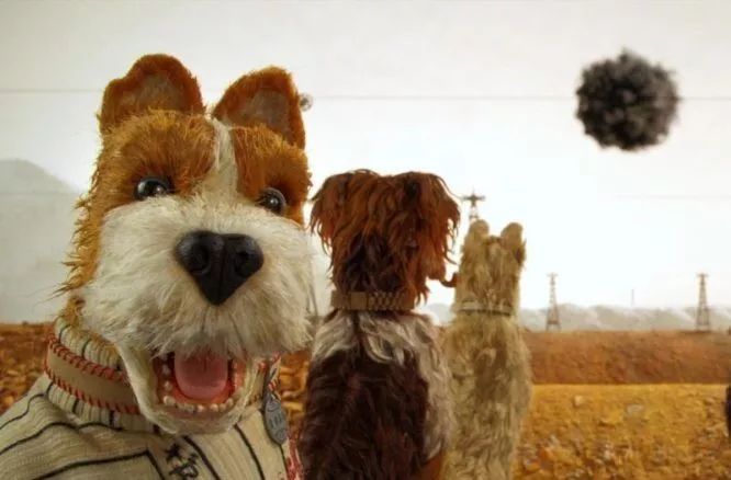 《犬之岛》:童话世界里的荒诞冒险