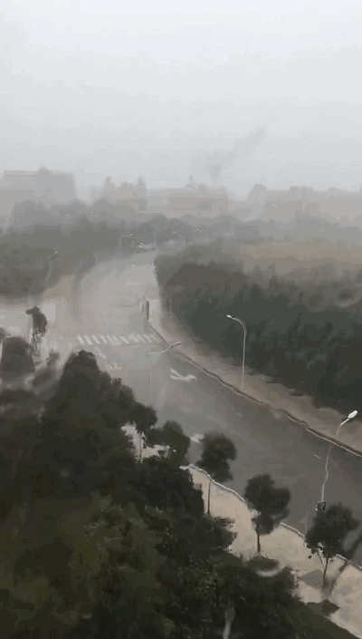 400_705竖版 竖屏gif 动态图 动图