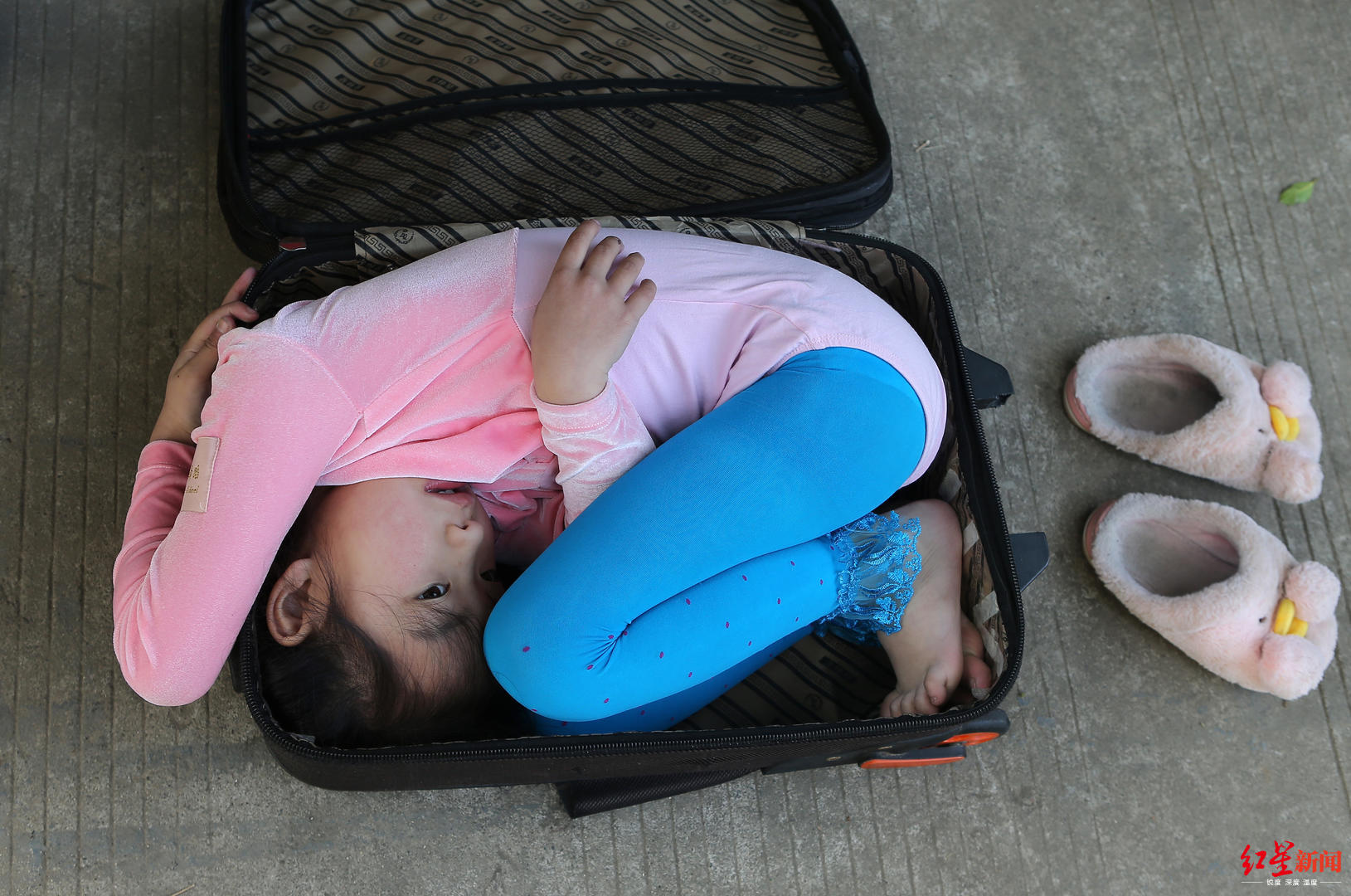 7岁女孩想当蜘蛛侠!能钻进行李箱,下腰叼花可挑战吉尼斯