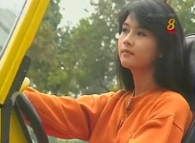 陈莉萍叶素梅美若天仙《烈焰焚情》罪恶孽缘够令人心悸