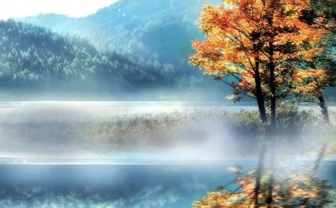 你安好如初▼《立秋日曲江忆元九》唐·白居易下马柳阴下,独上堤上行