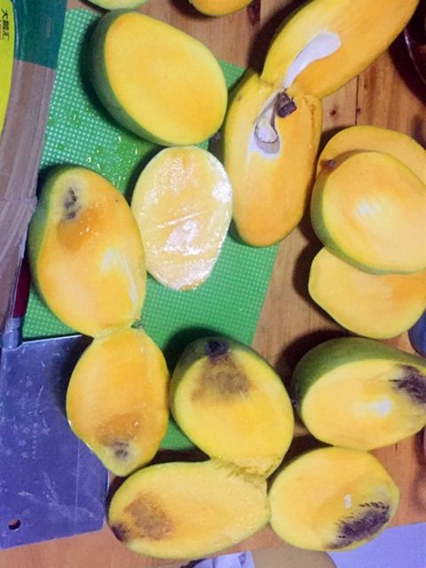 女子买了群里推荐的芒果 切开发现坏掉了|果园|凯特芒|爆料_新浪新闻