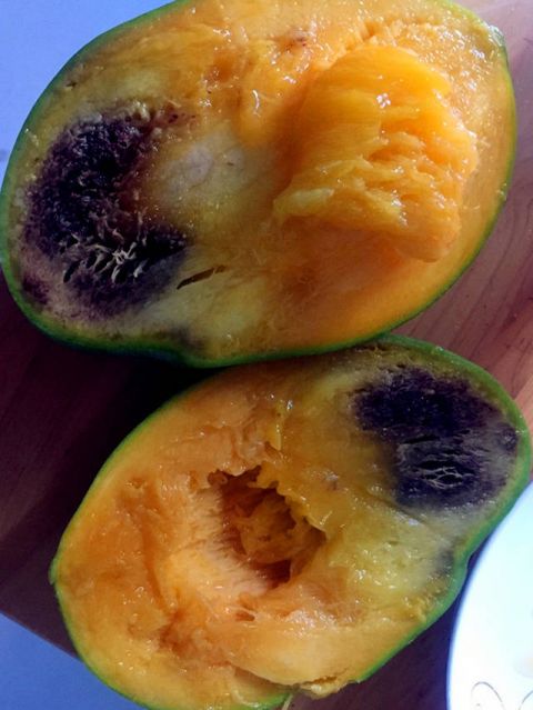 女子买了群里推荐的芒果 切开发现坏掉了|果园|凯特芒|爆料_新浪新闻