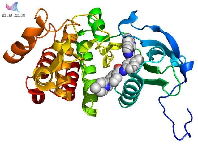 一部电影带火了格列卫,距离靶向药物国产化已经不远了|抗体|肿瘤细胞