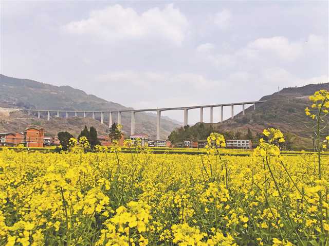 万州区龙驹镇地处万州,云阳,湖北省利川市交界处,位置偏远,交通