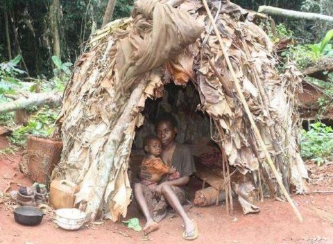 中非的俾格米人是全非洲最矮小的民族,简直就是小矮人民族,他们平均