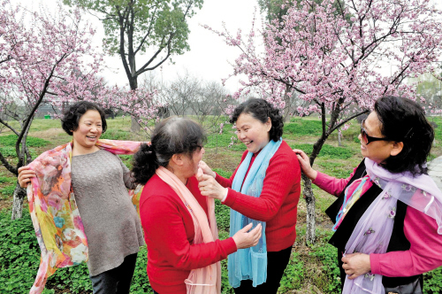 海宁赶来赏梅的几个姐妹带着不同颜色和款式的丝巾,搭配着与梅花合影