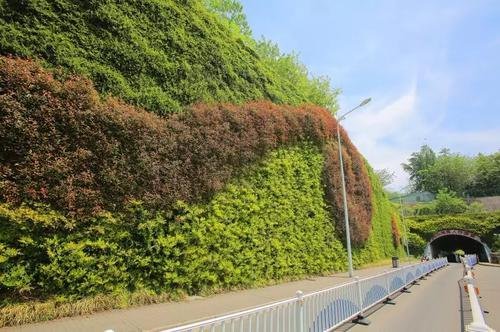 添置花箱,花境及立体绿化,南京重要道路将增姿添彩