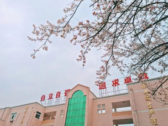 莲都区|中学|缙云县_新浪新闻