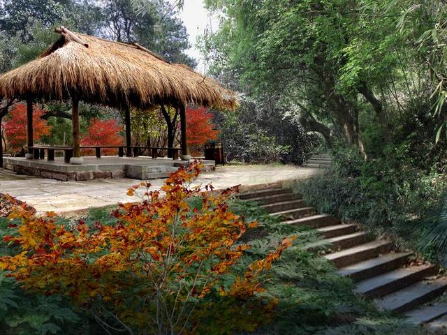 5大入口14条登山线路陶朱山公园打造升级版森林公园