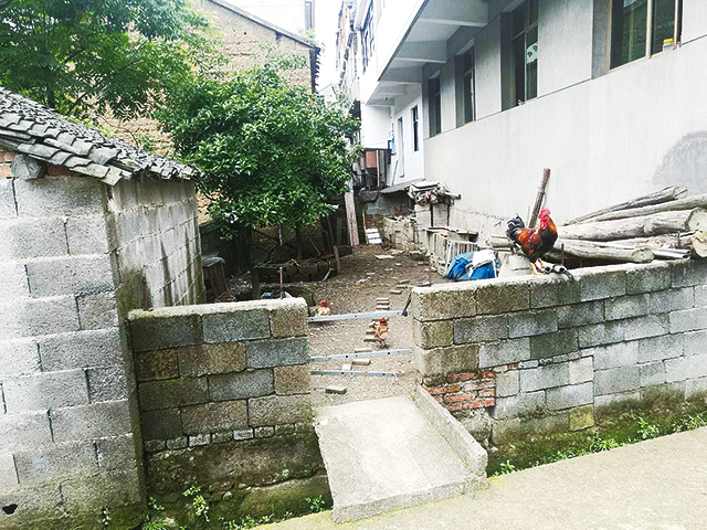 活禽散养,"赤膊墙"未粉刷等问题明显;曹宅镇曹公村,鞋塘办事处黄泥塘