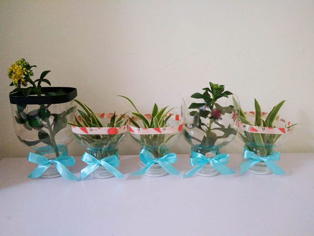 变废为宝金点子4矿泉水瓶变收纳盒小花瓶图文