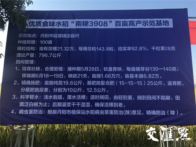 优良食味粳稻品种又添新成员南粳3908在苏南和沿江地区开始推广