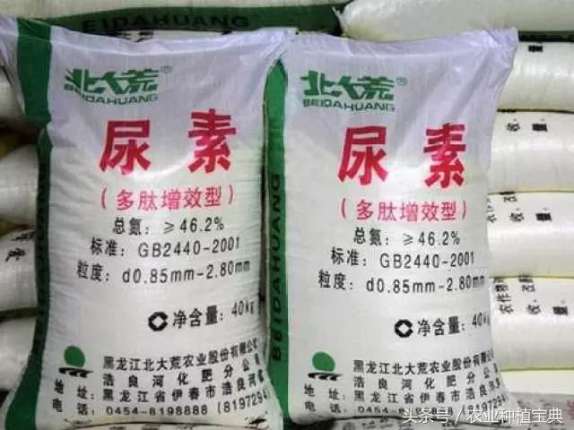 跟着小编学习如何鉴别真假尿素