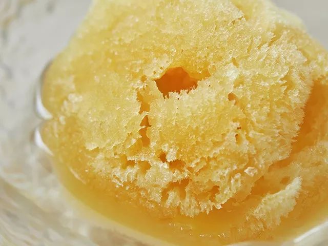 用活的海绵洗澡,皮肤越洗越好