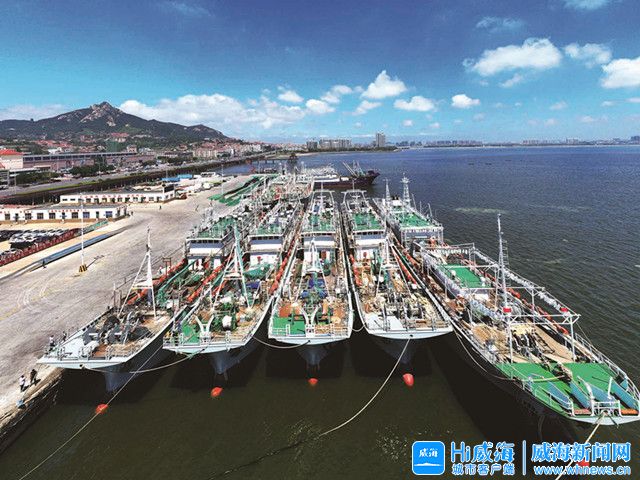 30载劈波斩浪他们闯出了一片蓝海