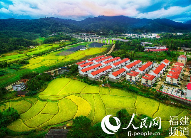 福建沙县:林改让山林活乡村兴
