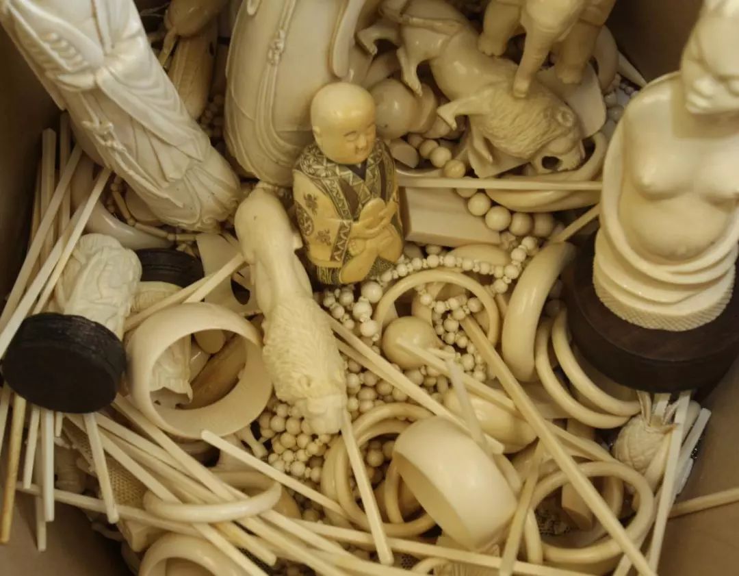 ▲扣押的象牙制品(世界自然基金会)