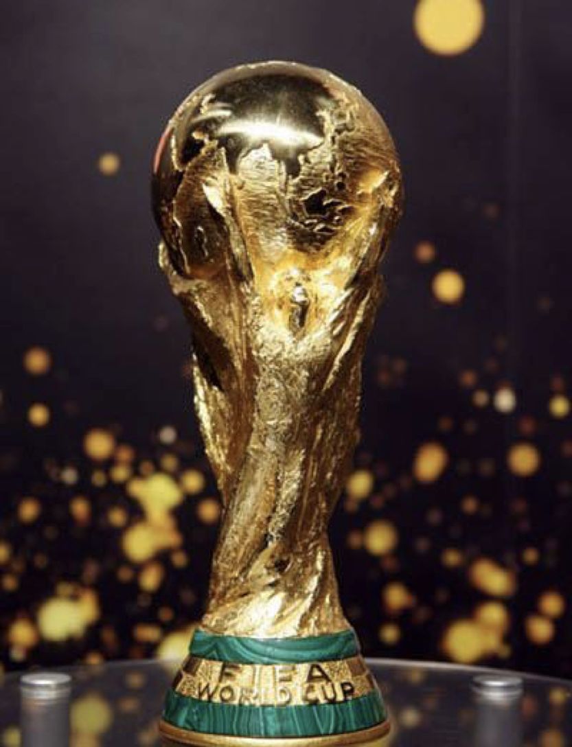 比赛,来自世界各国的球员们都在努力追求世界杯的冠军——"生命之杯"