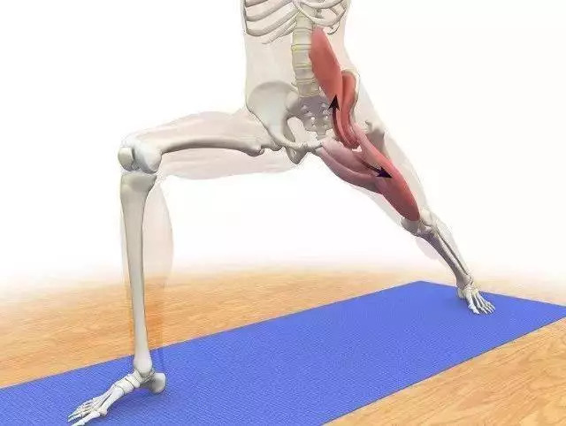 邓紫棋的皮裤象腿都能瘦成小鸟腿,宋茜真的该努努力了