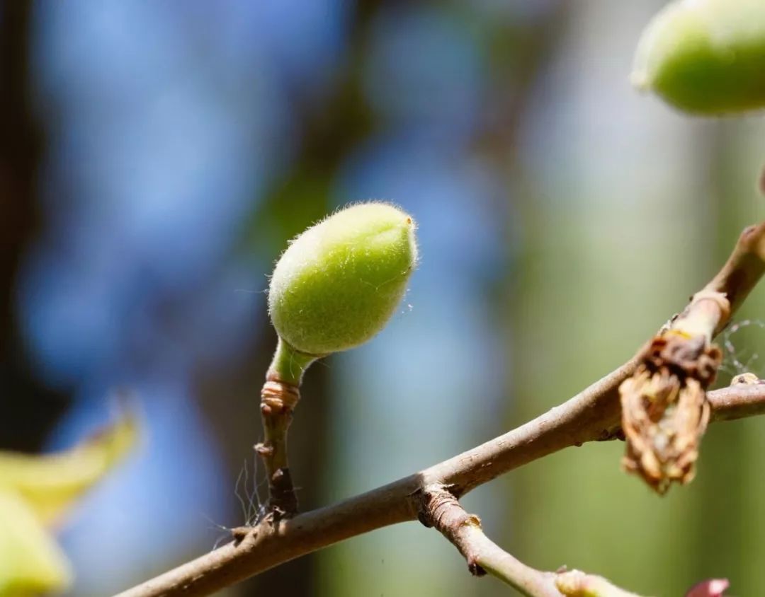 春分:莫负一年好时光