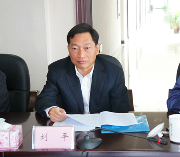 湖南宁乡市委常委,常务副市长刘平接受纪律审查和监察调查