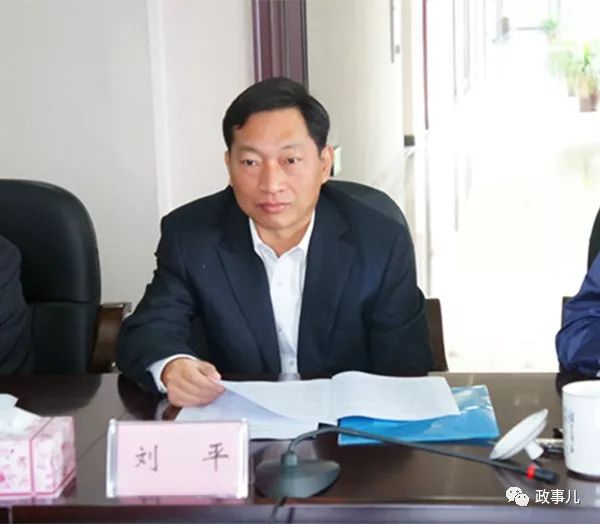 落马官员的婚外事:有人与妻子的同学生子拒绝抚养|刘平|宁乡|政事