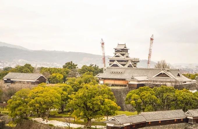 快上车!不然熊本熊列车就开走啦!