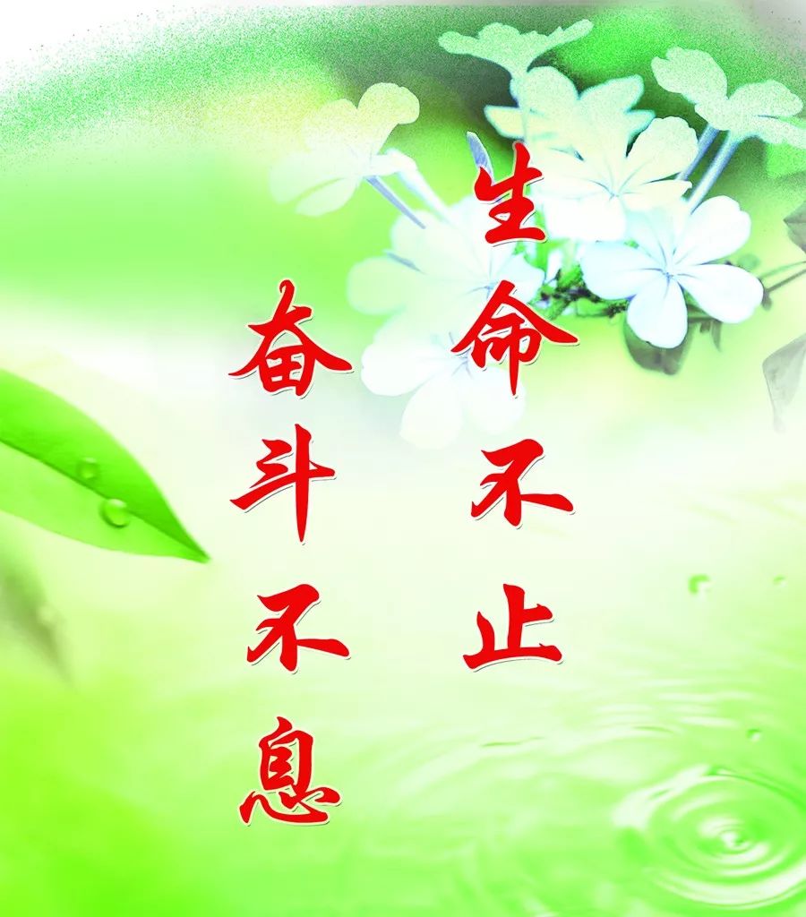 人生拼的就是坚强