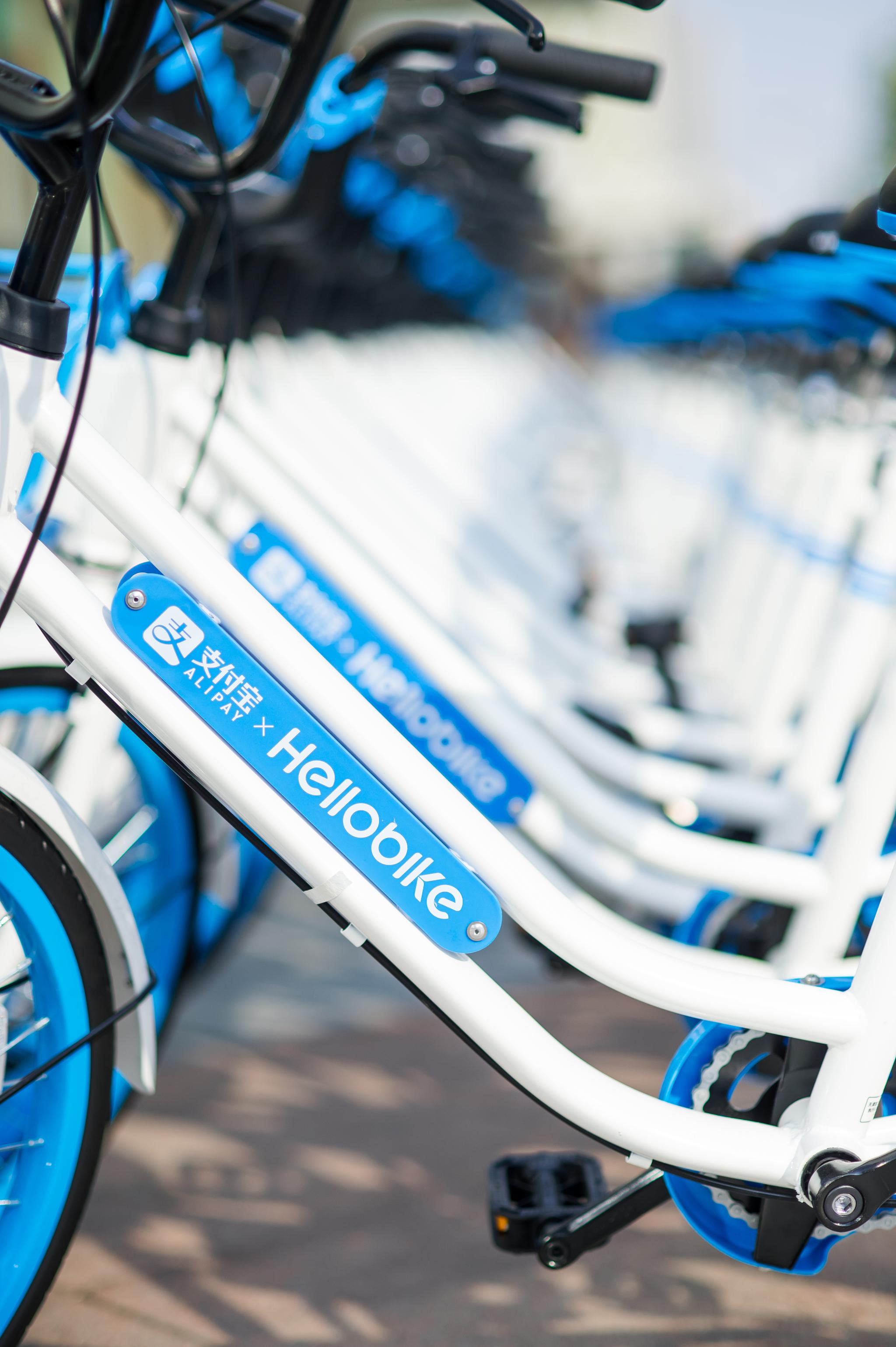 哈啰出行提出愿意无差别清理深圳问题共享单车