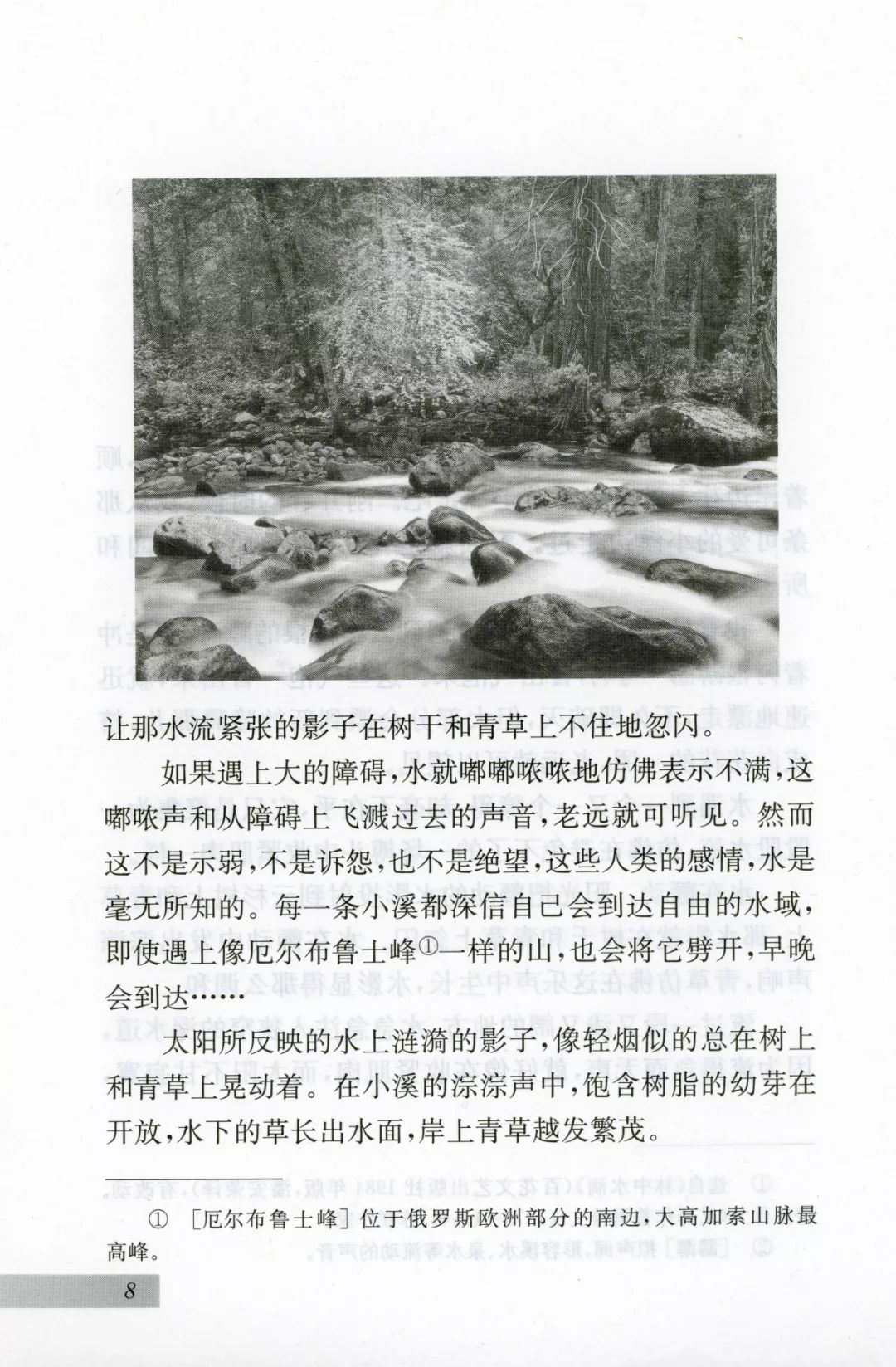 林中小溪丨那些年我们一起读过的课文