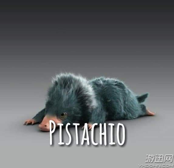 嗅嗅宝宝的名字你知道吗?《神奇动物2》官方为你解谜