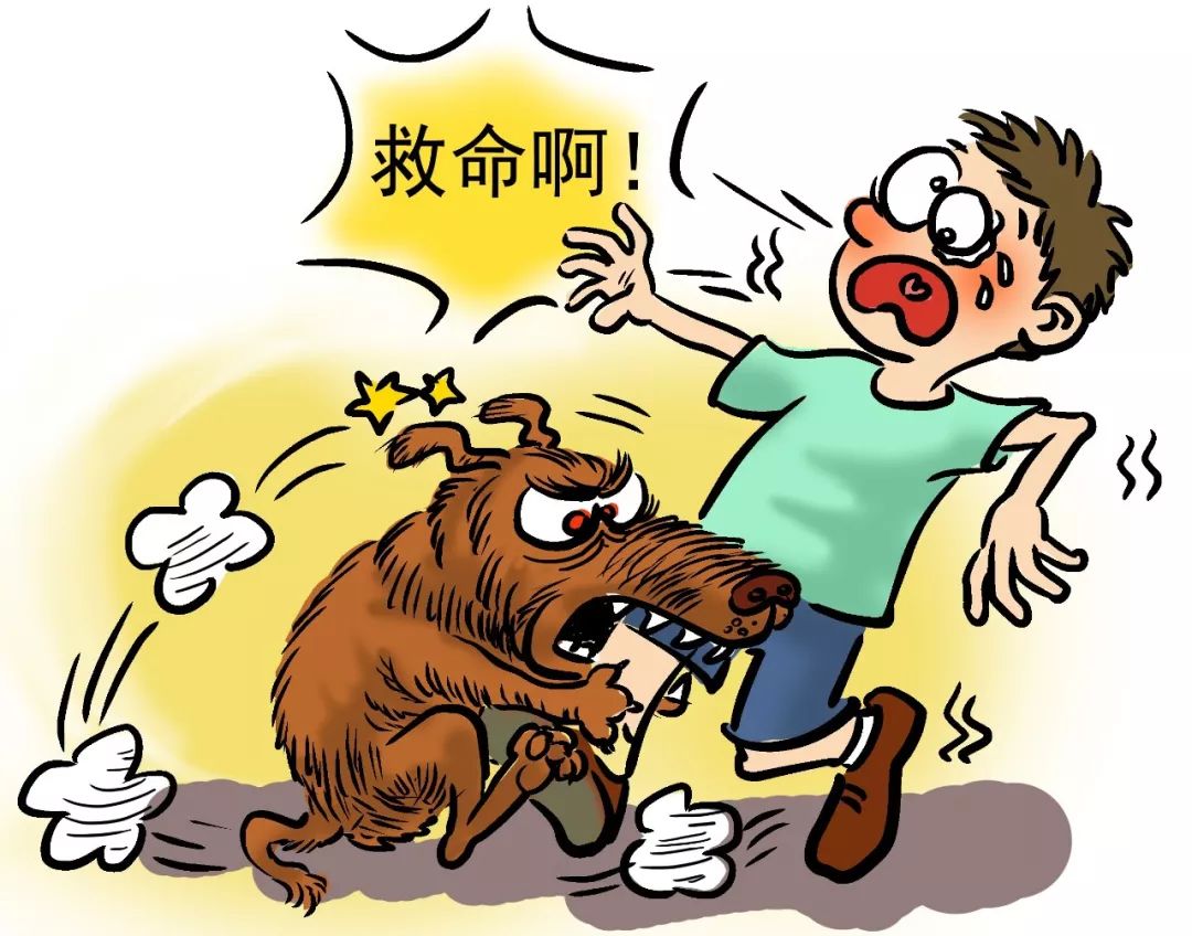 世界狂犬病日,你一定要了解的10个常识!