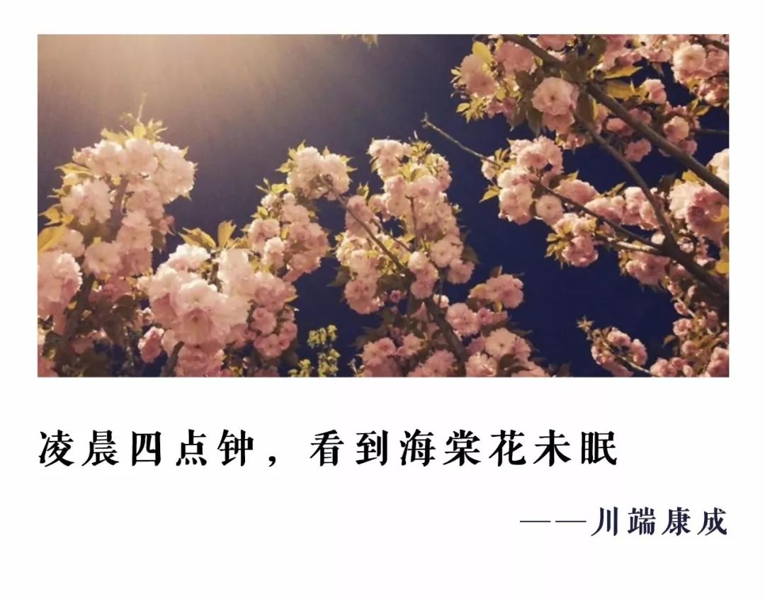 川端康成说,"凌晨四点钟,看到海棠花未眠.