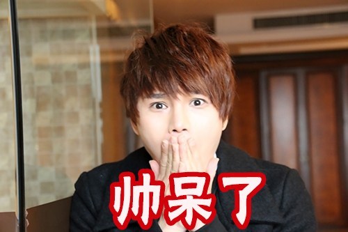 组图:陈奕天粉丝做的陈奕天表情包 只能用够黑来形容