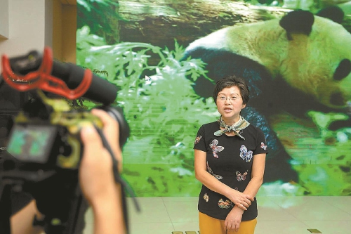 成都检察在行动以检察之名守护国宝大熊猫