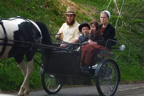 人类长寿的希望,也许就藏在一群叫阿米什人的北美土著身上