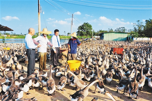 助力广东经济高质量发展的农行路径