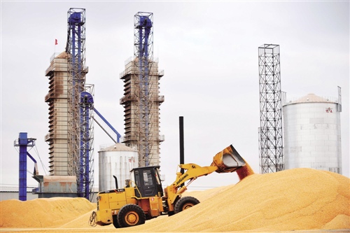 黑龙江富锦去年经济总量_黑龙江富锦宏胜