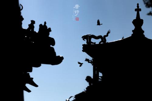 皇城轶事:他花6年拍3万张照片记录故宫 打动单霁翔(图) 《对语》。2018年10月,拍摄于故宫翊坤宫。苏唐诗 摄