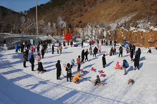 大连森林动物园 “森林Zoo雪乡”启幕