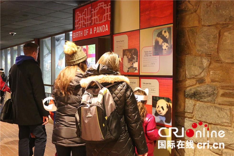 美国访客在熊猫馆内浏览装修后增添的展示墙。（摄影 刘坤）